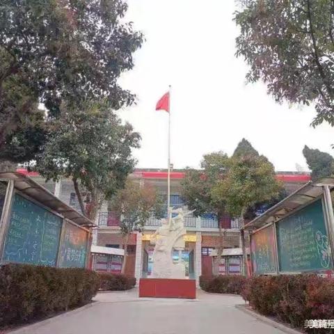 少年不畏严冬至，飞扬活力正当时——新庄学校冬季趣味运动会
