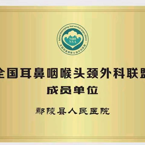 鄢陵县人民医院医疗健康集团组织开展“健康聆听 无碍沟通”系列健康科普惠民义诊活动