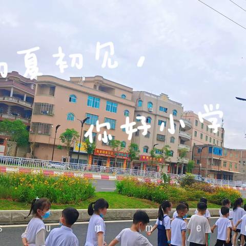 初夏初见，你好，小学！——灵源街道启萌幼儿园参观林格小学活动实记