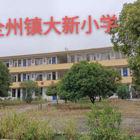 新学期  新起航——2023年全州镇大新小学秋季开学通知