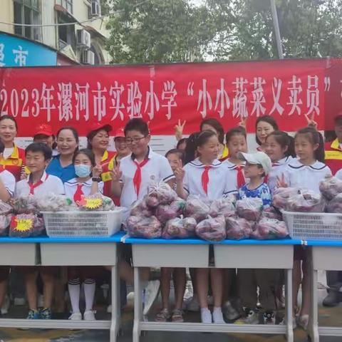 劳动励心志   实践促成长——漯河市实验小学四五班劳动实践活动