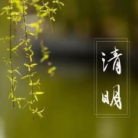 清明雨上，四月芳菲------户部寨镇第一中学清明假期安全主题活动