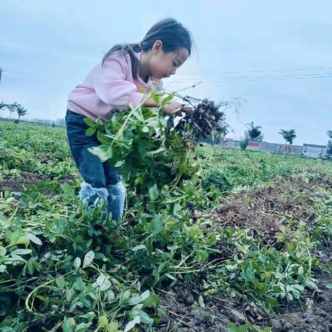 【朱集一中】——四（1）班学生在实践中成长