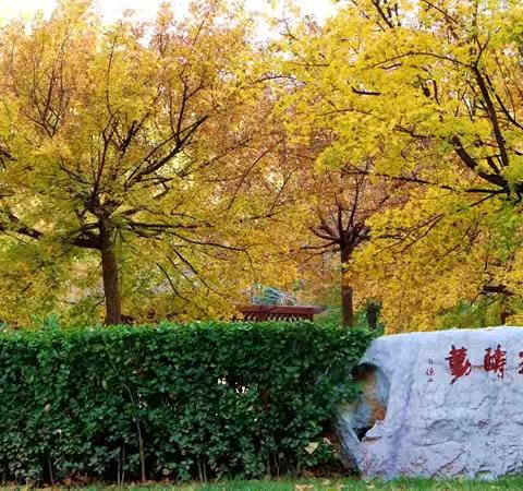 征程半，匠心聚，灯塔明