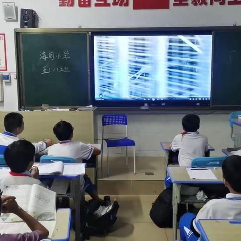 观教育影片，感教育真谛—海口市海甸小学观看教育影片活动