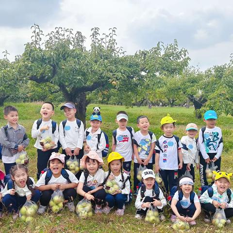 “童”样采摘 别样精彩——大一班采摘记
