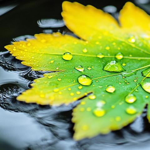 中四班第十五周美篇