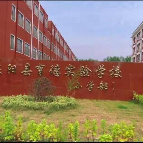 快乐原来如此简单—正阳县育德实验学校户外社团大赏