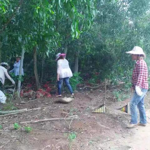 益民村委会开展人居环境整治活动