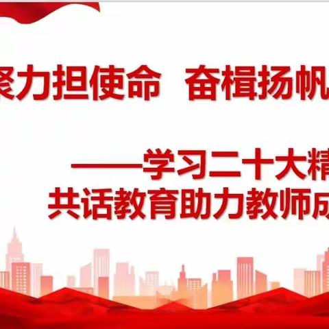 凝心聚力担使命 奋楫扬帆新征程—乌鲁木齐市第135中学学习二十大精神  共话教育助力教师成长