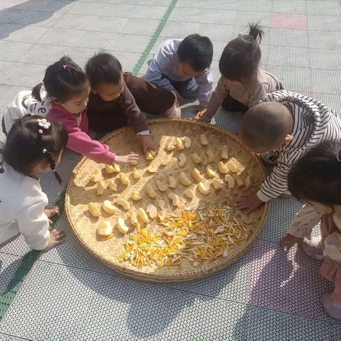 欧华幼儿园碧景分园小二班教学反馈