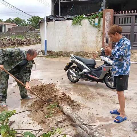窑上村开展台风灾后整治及爱国卫生活动