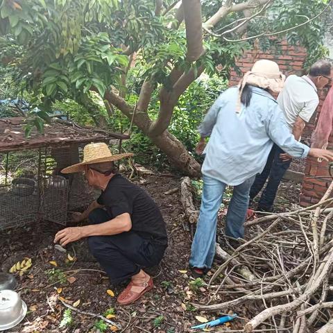 窑上村再次积极开展基孔肯雅热疫情防控工作