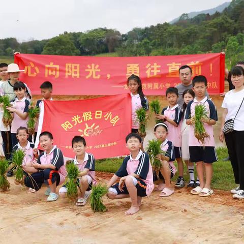 以辛勤劳动为荣、以好逸恶劳为耻 ——龙岩师范附属小学三年级3班第三小组“阳光假日小组”主题活动