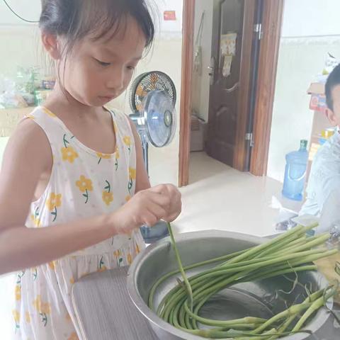 多彩暑假 不负时光——五里小学二年级2026年暑期特色作业精彩展示