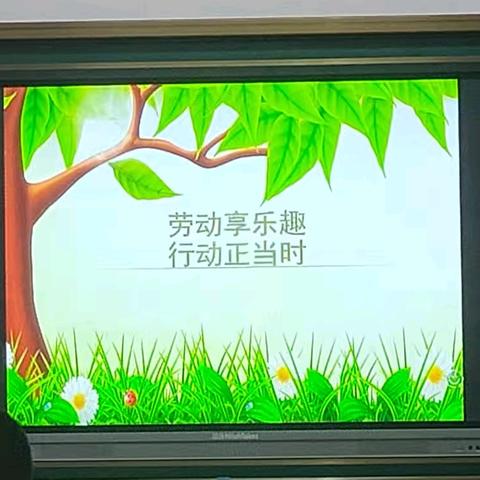 劳动享乐趣，行动正当时——松山区第十一小学四年六班劳动实践活动之缝沙包