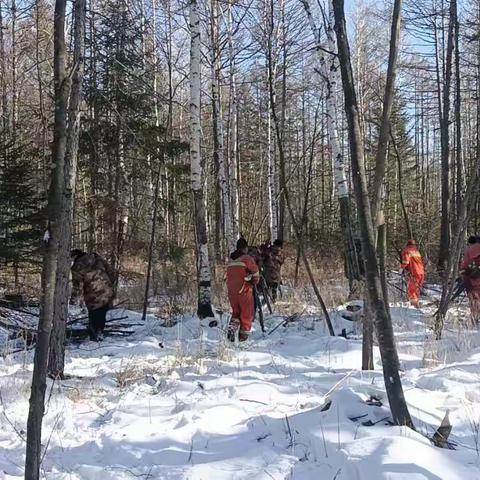 新林林业局多措并举推进景观示范林工作