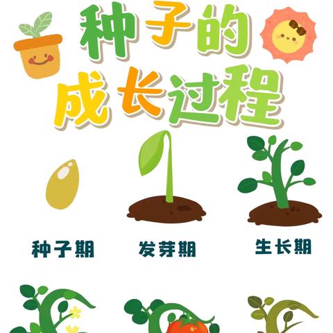 种子发芽🌱了