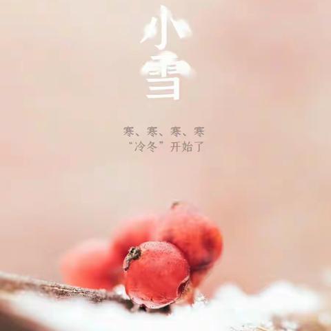 飞雪如花落，小雪节气到——莲湖区第六幼儿园二十四节气之“小雪”大班组主题活动（二）