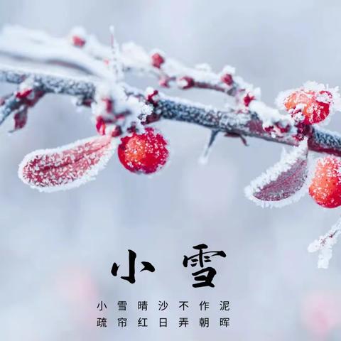 飞雪如花落，小雪节气到——莲湖区第六幼儿园二十四节气之“小雪”大班组主题活动（一）