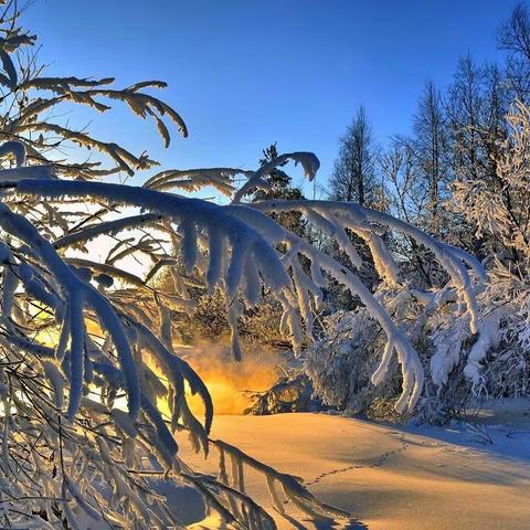 塔城市第六中学“2024冰雪奇缘” 雪塑创作活动