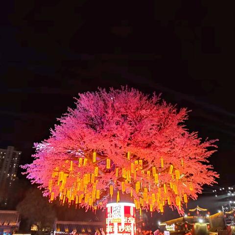 我得快乐的寒假 小河中心学校 二（3）班 王思凝