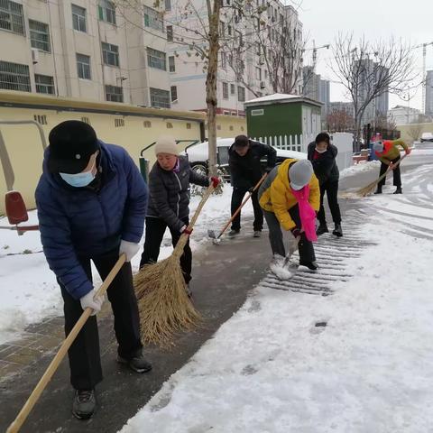 今天我是志愿者系列活动之四十五  2023年的第一场大雪