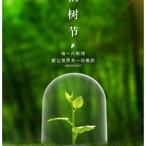 清平镇中心幼儿园商庄分园植树节活动