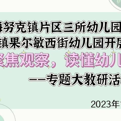 海努克镇片区三所幼儿园 城镇果尔敏西街幼儿园开展 “聚焦观察 读懂幼儿” ——大教研活动