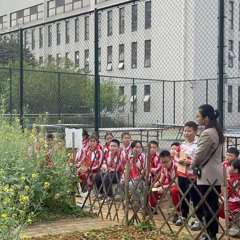 幸福花开，香溢校园——记柳州市阳和第二小学油菜种植与养护系列活动