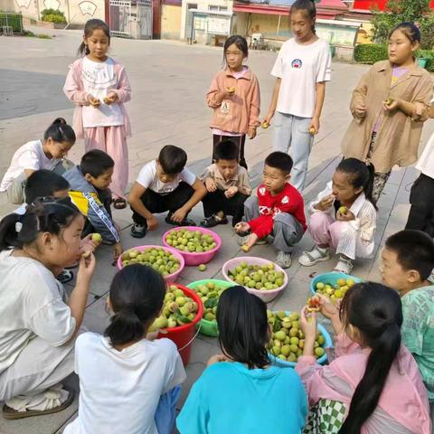 桃园采摘    “桃”醉你我 ----北河庄学区西河庄小学劳动实践活动