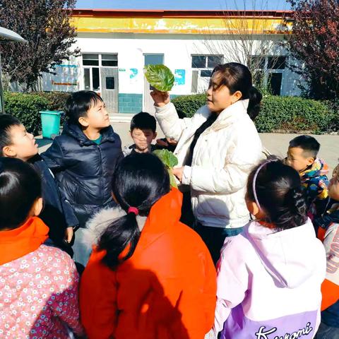 【活力校园】 ﻿桑海茶韵 童梦飞扬 北河庄学区西河庄小学劳动教育记实