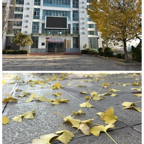 以学促研，以评提质