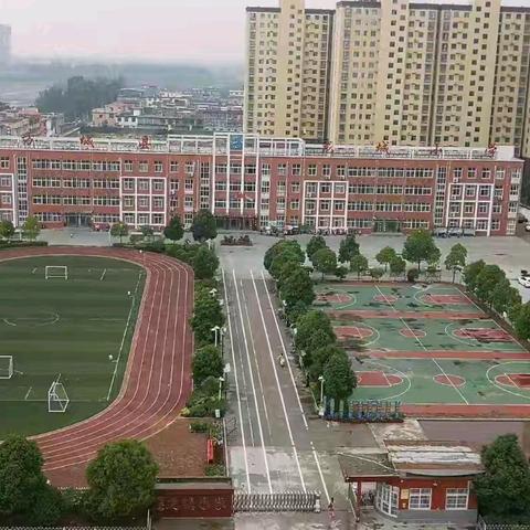 龙城小学2025年秋期一年级招生通告