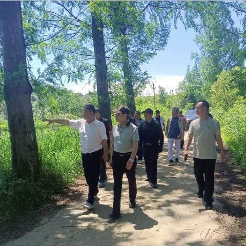 万年县水利局老科协参观调研大港桥湿地生态修复项目