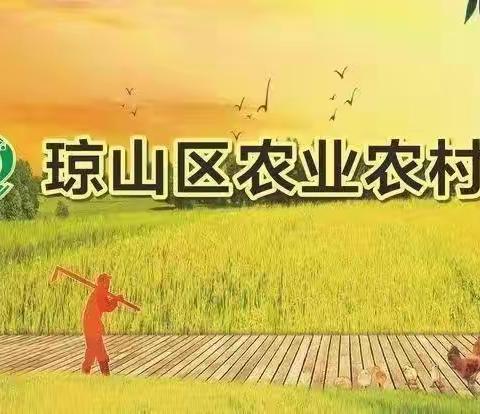 琼山区农业农村局举办沼气安全生产管理培训班