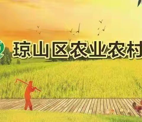 琼山区农业农村局举办沼气生产安全管理培训班