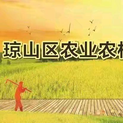 琼山区农业农村局做好沼气生产安全设施排查工作。