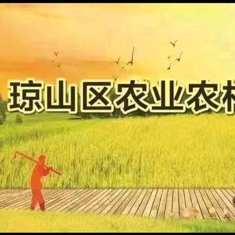 琼山区农业农村局继续做好春节前夕沼气安全生产检查