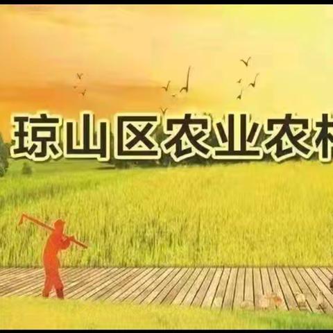 琼山区农业农村局继续做好春节前夕沼气安全生产管理工作