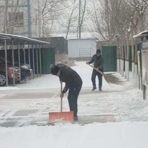 初雪至，除雪乐