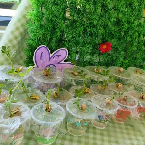 爱在四月，见证成长——十一全幼儿园中四班4月精彩回顾