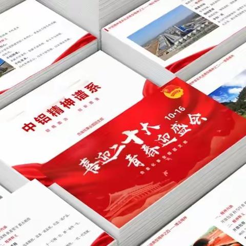 喜迎二十大，青春迎盛会-合金化事业部团支部开展主题团日活动