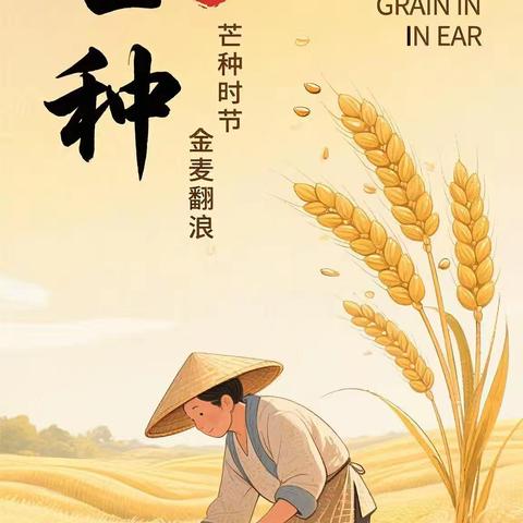 芒种：丰收与播种的交响曲——鄢陵县刘小改小语名师工作室节气主题活动（第52期）