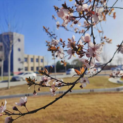 家校共育，静待花开——化工镇中心学校召开七八年级家长会