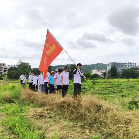 脚踏农田知稼穑，青春助农践初心 ——赣南医科大学学子下乡开展花生采收实践劳作