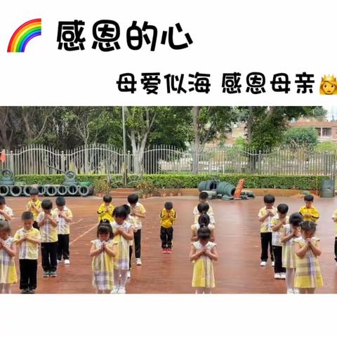 【温柔与明亮 ·夏日与你】蓓蕾幼儿园大一班第十四周活动花絮