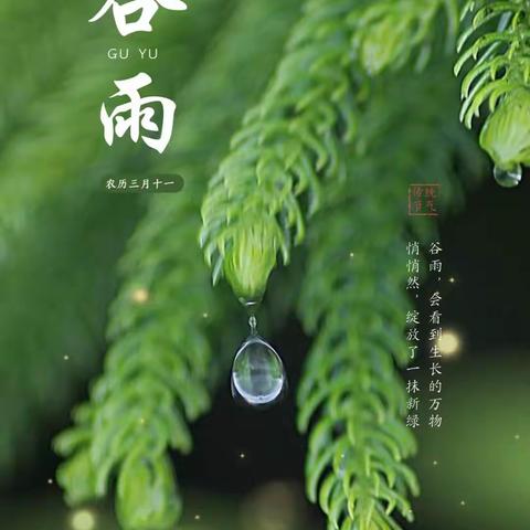 谷雨时节知多少