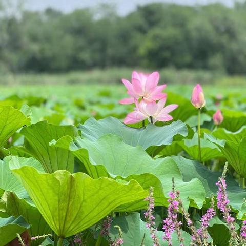 筠城传奇6月第4周工作简报