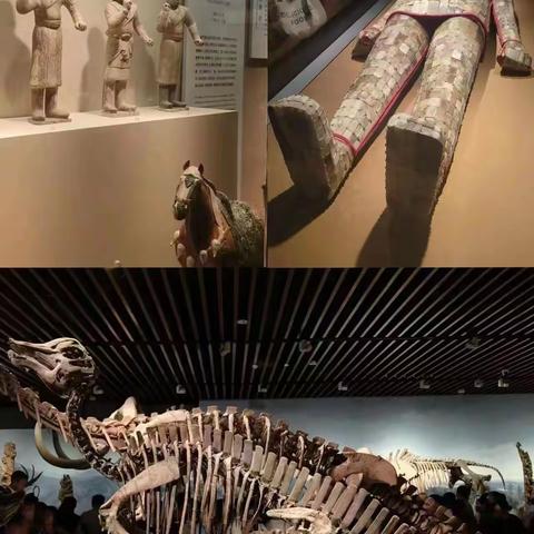 个体研学  看中国  饱览江南好风光－南京、杨州